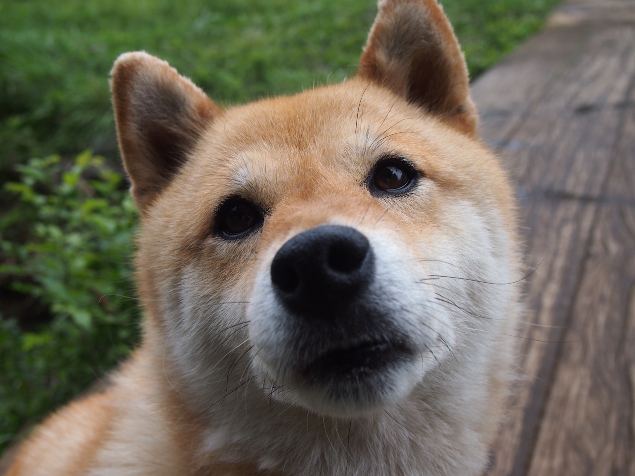 中超中国队复仇世界杯预选赛 球迷欢呼热烈,中超复赛时间