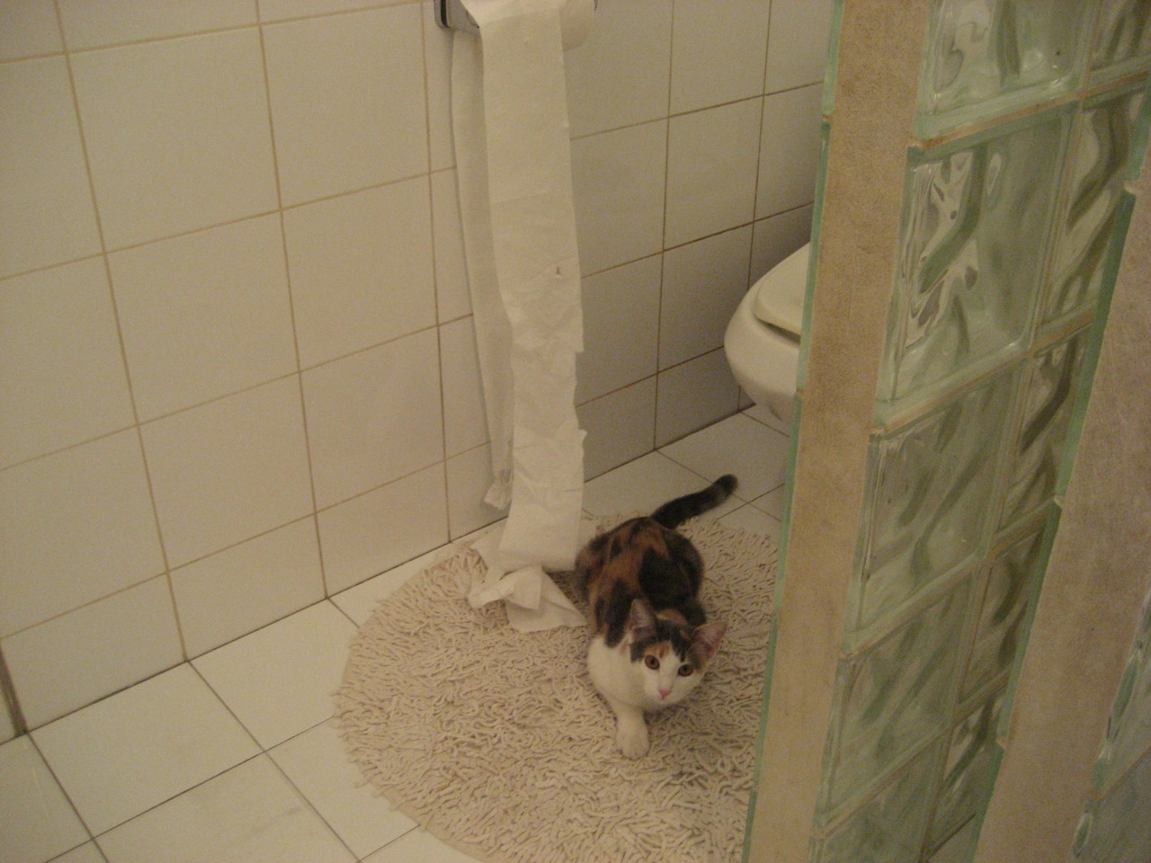 俱乐部管理体制如何影响球队稳定性,俱乐部体系的形成