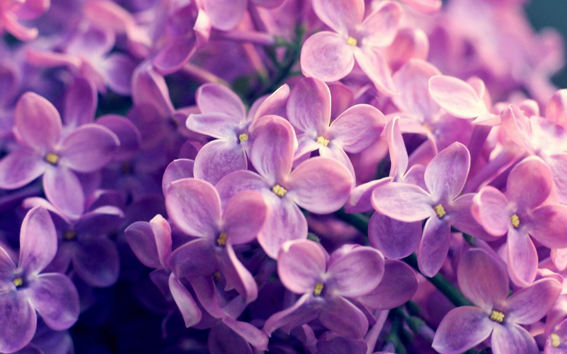 明星球员复出带动票房增长,球员复出文案