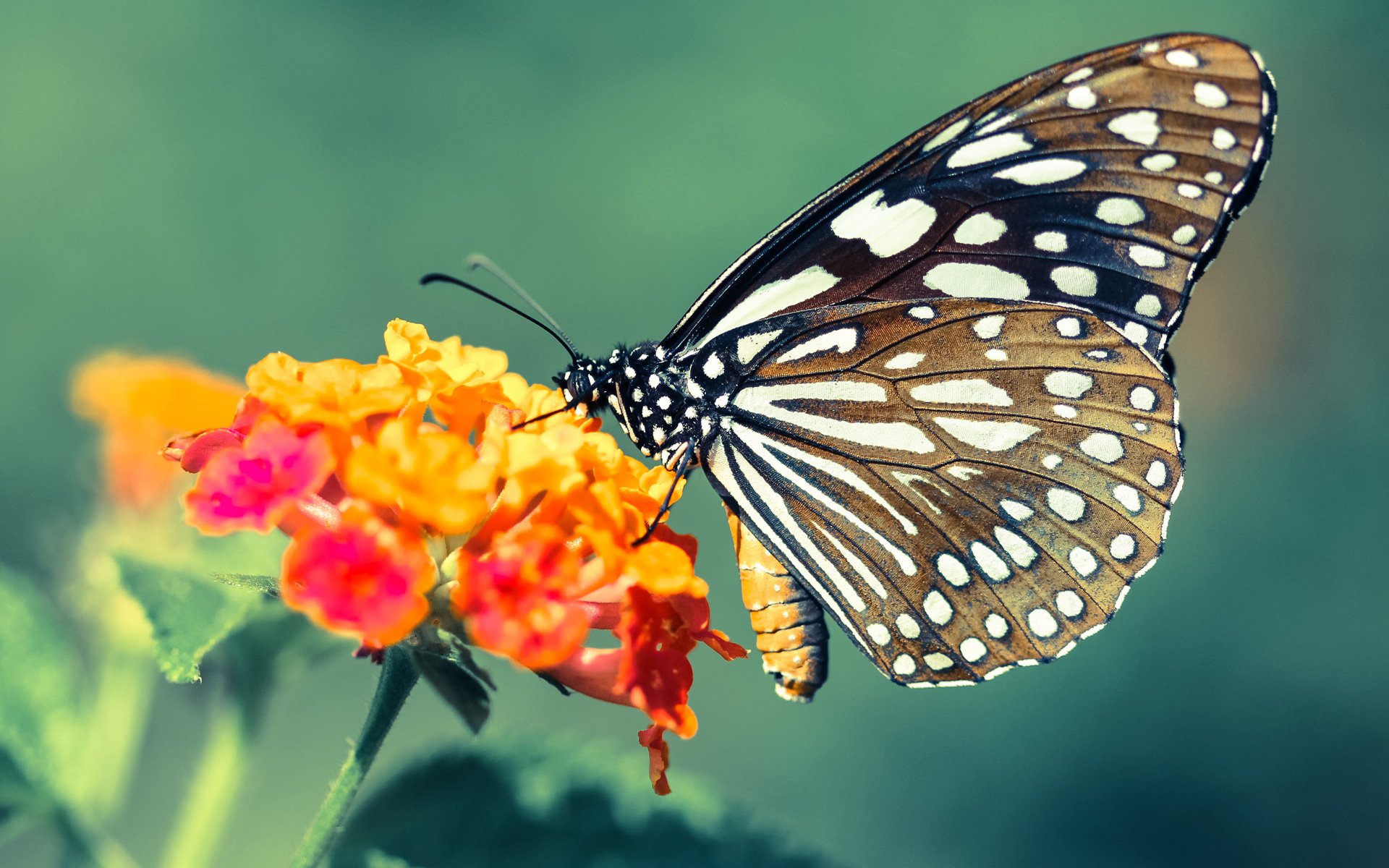 米兰体育-瑞典队未来展望：用创新与策略面对更强对手，瑞典队进攻怎么样