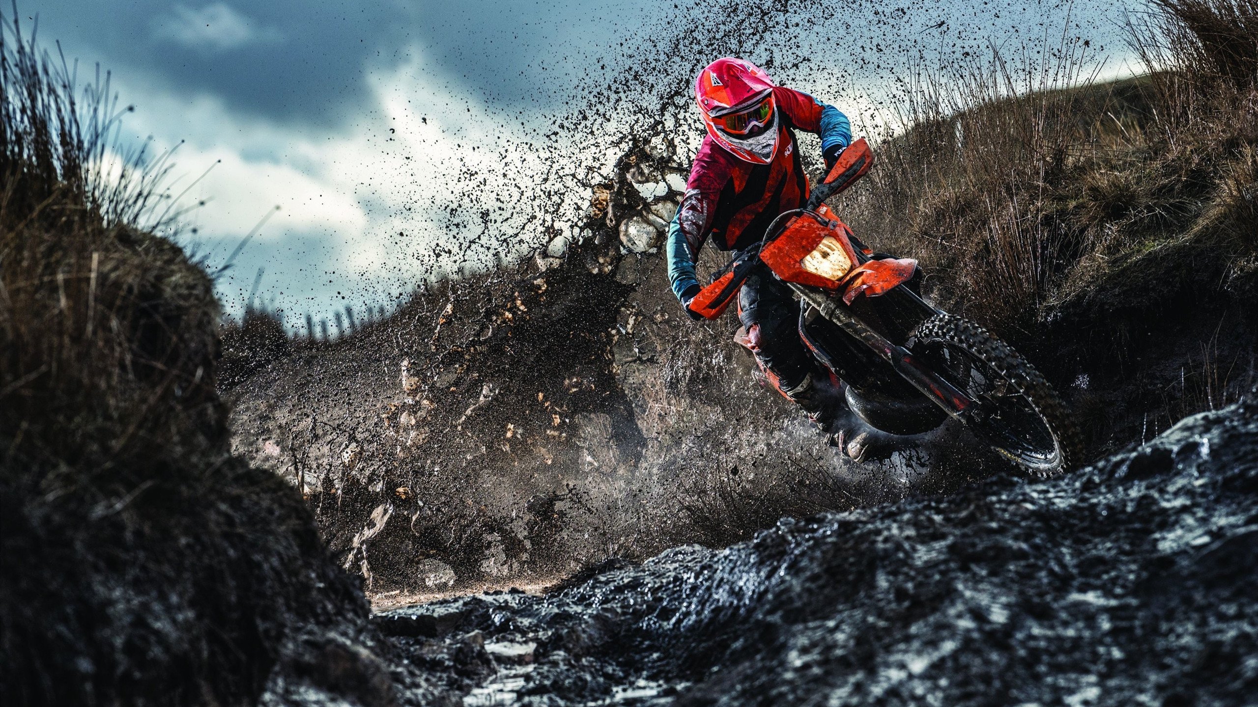 蝶泳划频与配速策略优化,蝶泳教学视频蝶泳划水