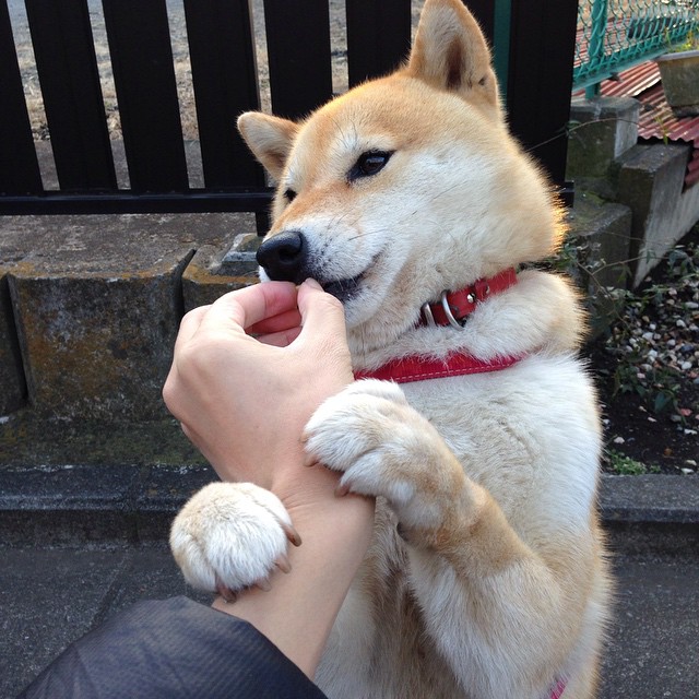 AC米兰-女篮训练课程加入三分命中挑战提升比赛外线威胁，女篮3分线和男篮一样吗