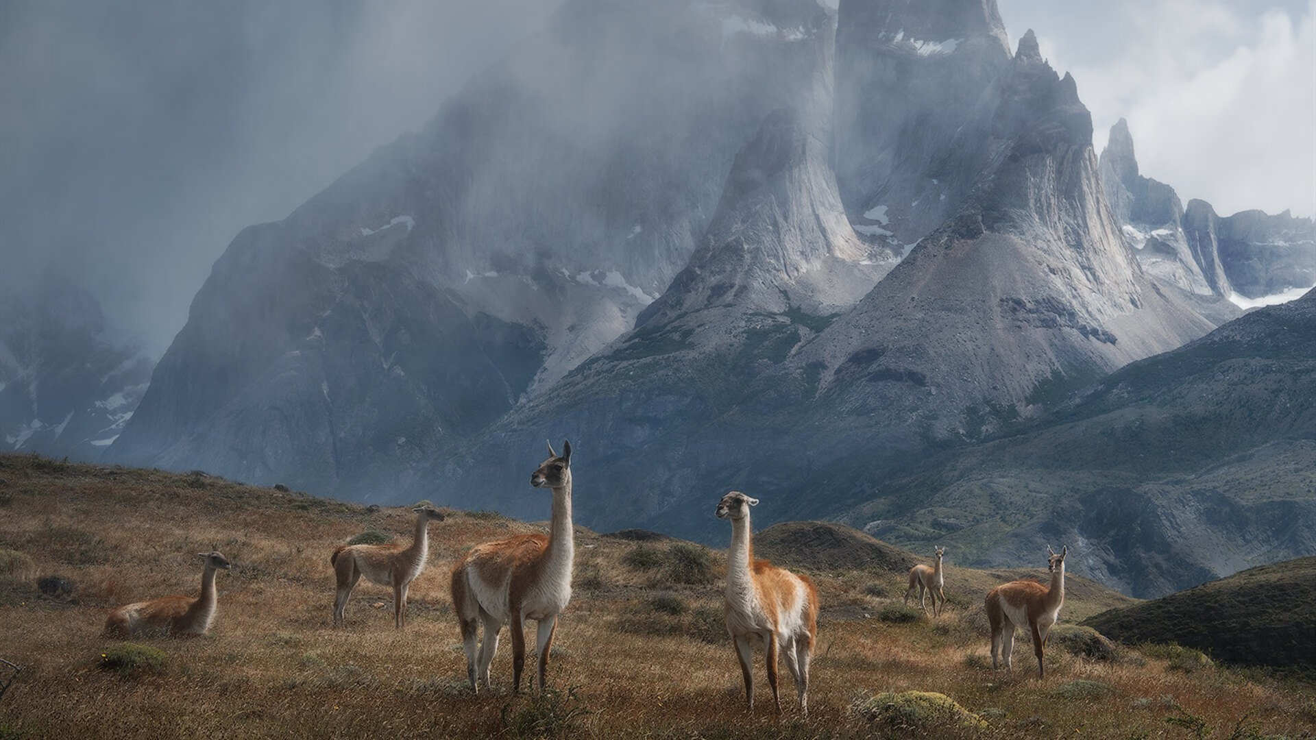 库里三分线外手感火热勇士主场迎胜,库里三分最准的一场比赛