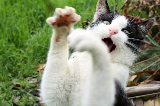 米兰登录入口-英超铁血防守：坚不可摧的后防线彰显实力，英超当下最流行的战术打法, 或将引领世界足球潮流!