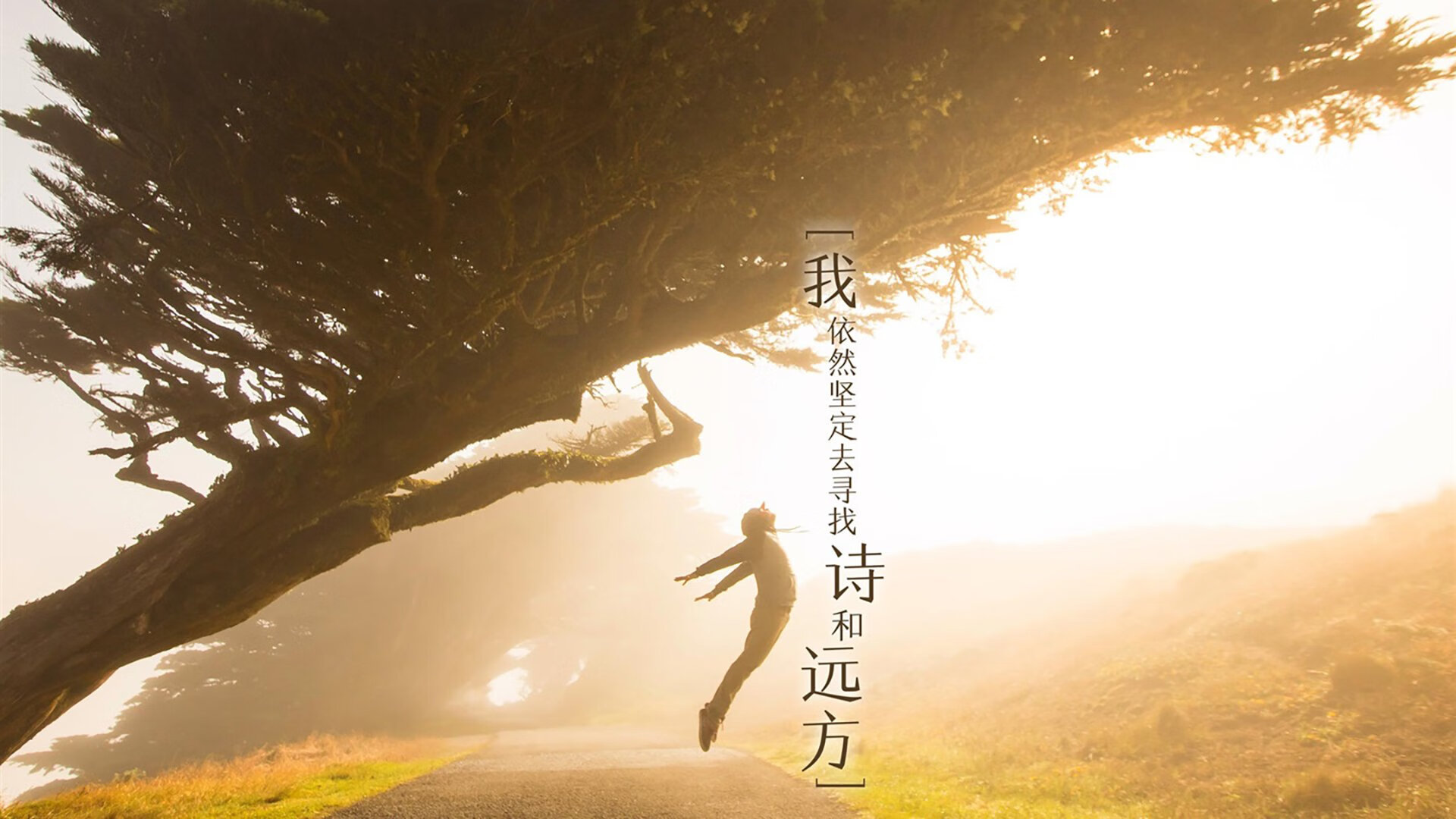 蝶泳决赛成中意选手较量新舞台,蝶泳 决赛