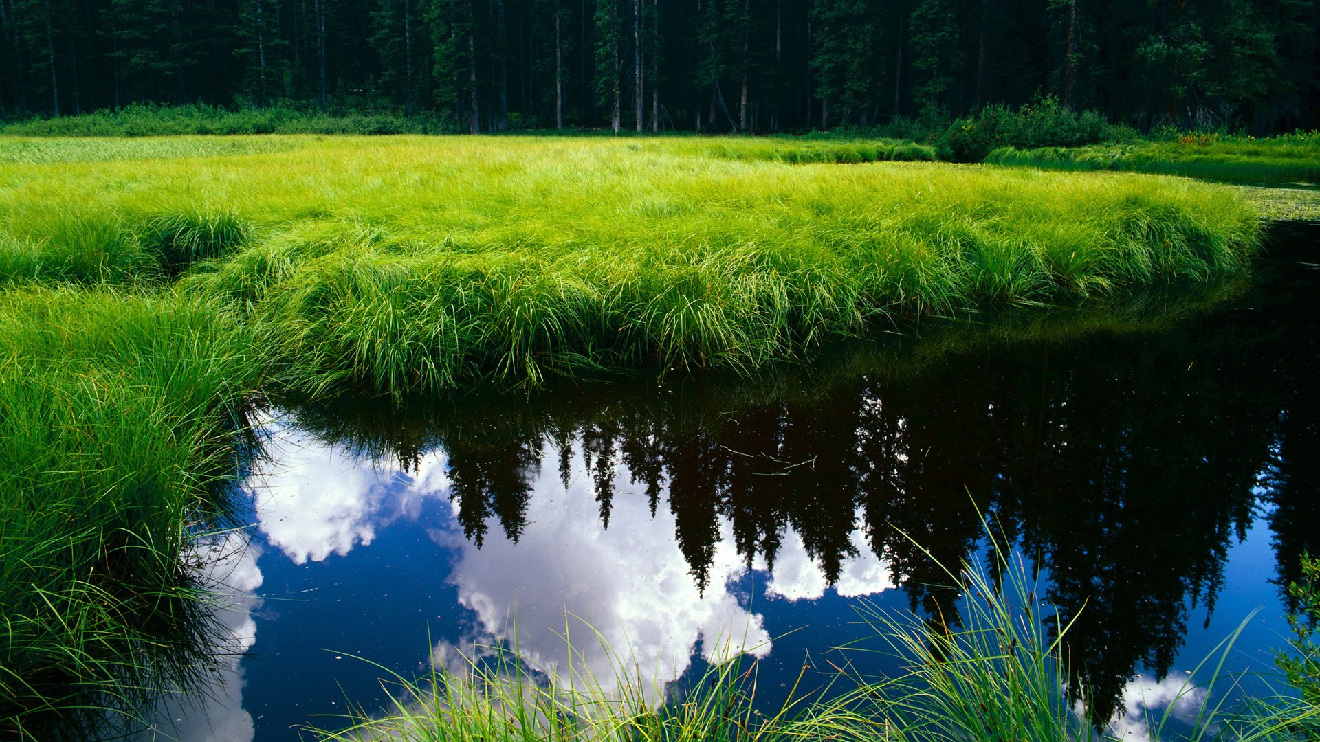 跳水技术全面韩国稳步提升,韩国跳水2021