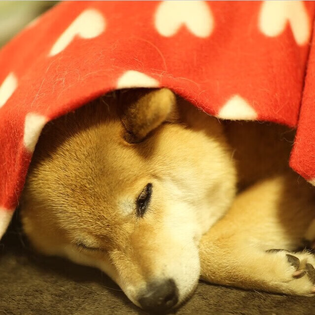 AC米兰-青训中心设置战术视频复盘角培养自主学习能力，训练营复盘