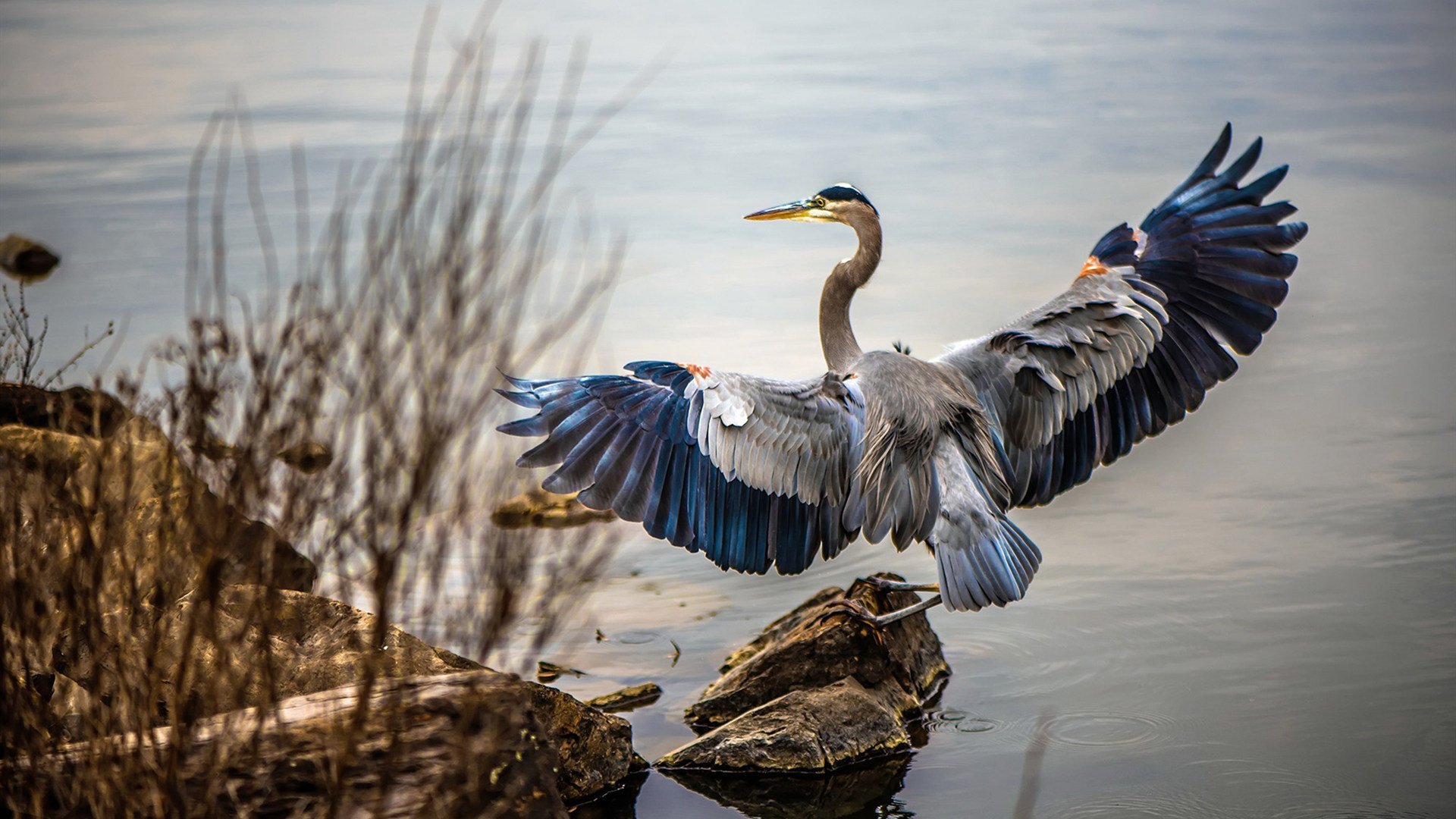 23-24赛季任意球破门最多,格里马尔多再度双响献礼,内马尔和格里兹曼关系